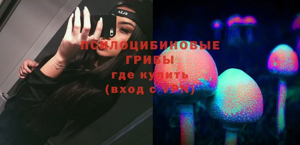бошки Пролетарск